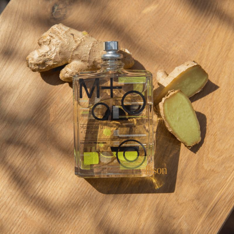 Escentric Molecules Molecule 01 + Ginger EDT